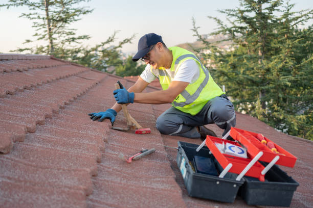 Best Roof Waterproofing Services  in Brinckerhoff, NY